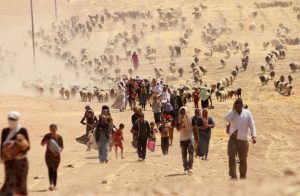 migratia climatica, demografia globala