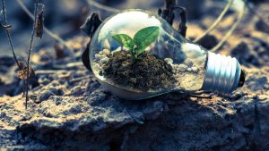 tehnologiile verzi, investitii mari